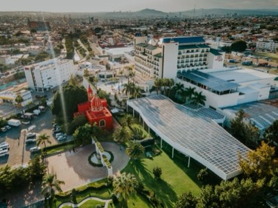 Escolha Médico: 5 Passos para Decisão Baseada em Evidências